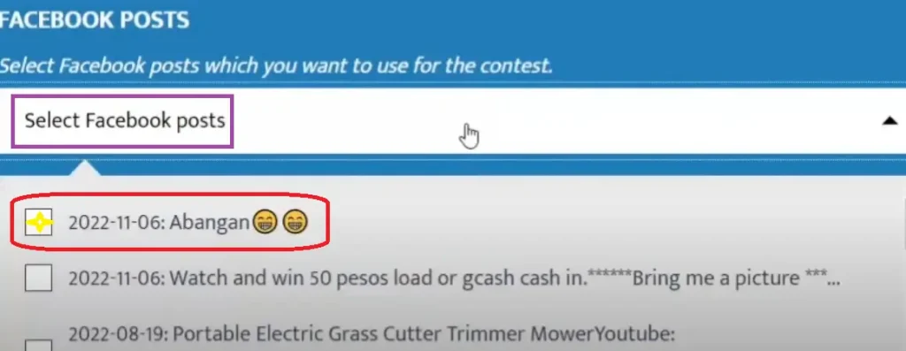 choisiri post facebook